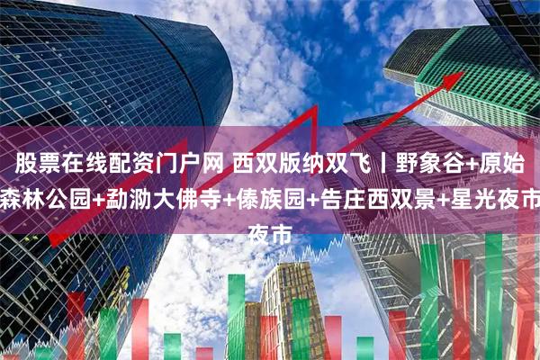 股票在线配资门户网 西双版纳双飞丨野象谷+原始森林公园+勐泐大佛寺+傣族园+告庄西双景+星光夜市