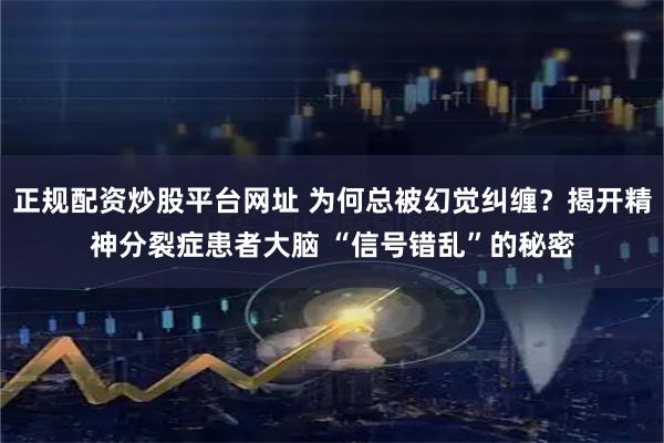 正规配资炒股平台网址 为何总被幻觉纠缠？揭开精神分裂症患者大脑 “信号错乱”的秘密