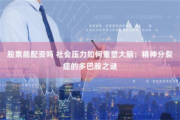 股票能配资吗 社会压力如何重塑大脑：精神分裂症的多巴胺之谜
