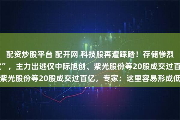 配资炒股平台 配开网 科技股再遭踩踏!存储惨烈程度或超2015年“股灾”,主力出逃仅中际旭创、紫光股份等20股成交过百亿,专家:这里容易形成低点